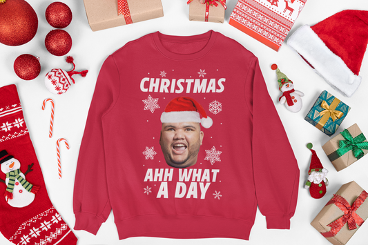 HARVEY PRICE - CHRISTMAS AHH WHAT A DAY FUNNY CHRISTMAS JUMPER